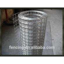 galvanized Welded Wire mesh Rolls